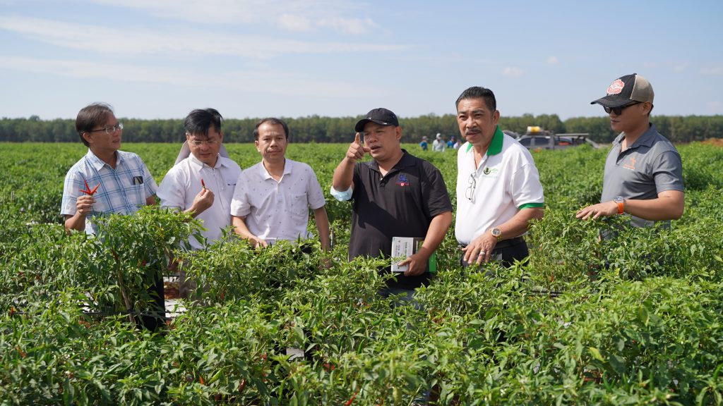 Đoàn tham quan trang trại trồng ớt với diện tích hơn 300 héc-ta ở xã Eatul , huyện Cư M'gar, Đắk Lắk